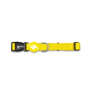 Dashi Solid Colors – Coleiras para Cães – Yellow