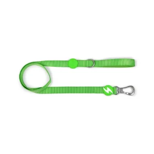 Dashi Solid Colors – Trelas para Cães – Green