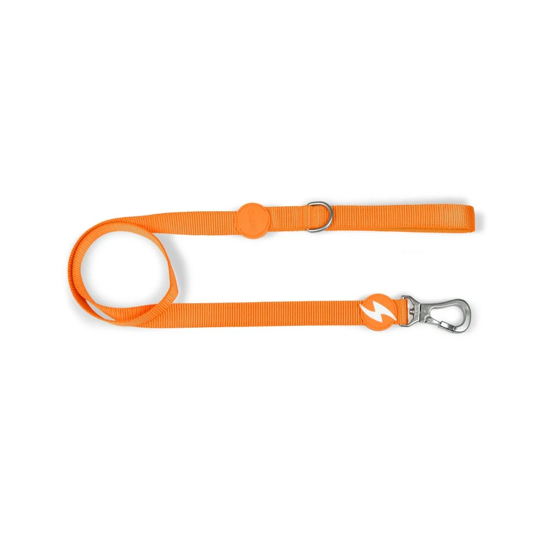 Dashi Solid Colors – Trelas para Cães – Orange - Image 2