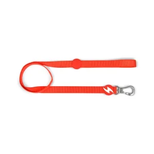 Dashi Solid Colors – Trelas para Cães – Red