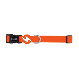 Dashi Solid Orange – Coleira ajustável para cães