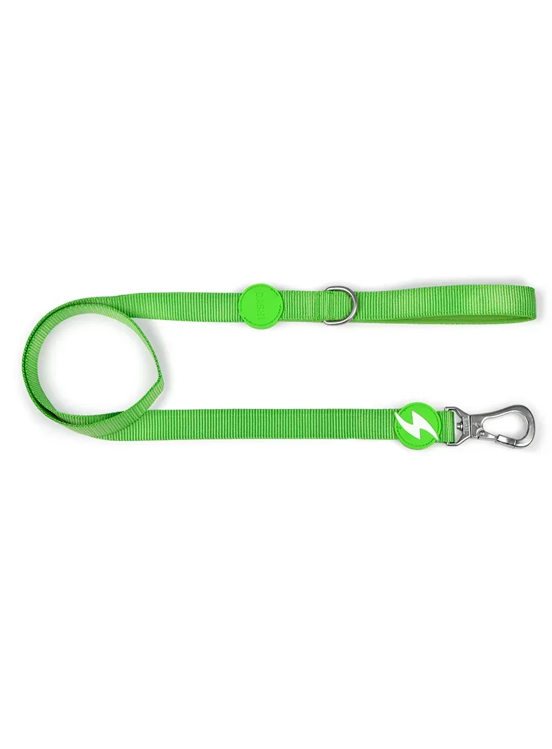 Dashi Trela Solid Green – Trela em nylon para cães