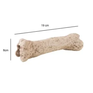 Decoração Dino Bone