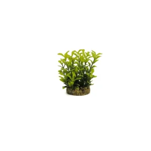 Decoração Folha Aquática Amarelo/Verde Classic
