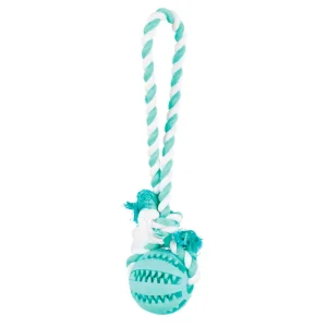 DENTAFUN – BOLA DE BORRACHA COM CORDA