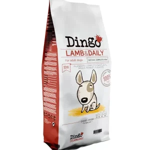 Dingo Borrego & Daily