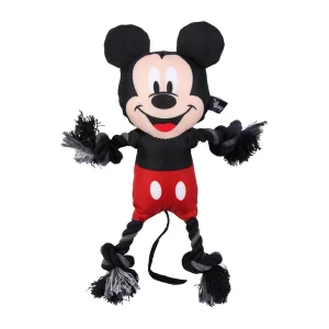 Disney Mickey Dental