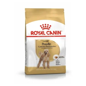 Dog Adult Poodle Caniche – Royal Canin