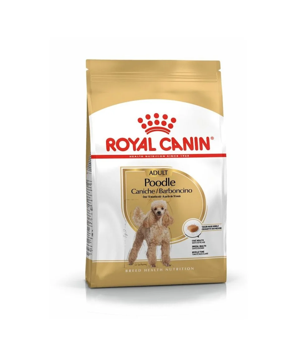 Dog Adult Poodle Caniche – Royal Canin