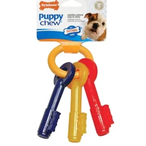 Dog Chaves XS P/Dentição- Nylabone