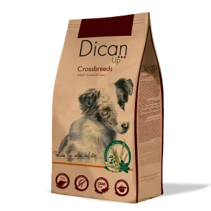 Dog Crossbreeds Adulto – Dican Up