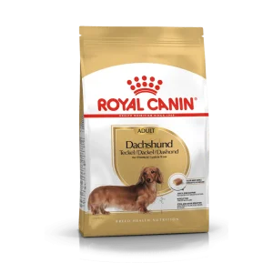 Dog Dachshund Adult – Royal Canin