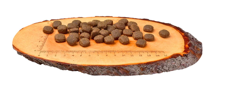 Dog Grain-Free Borrego e Alce 12Kg – Carnilove - Image 2