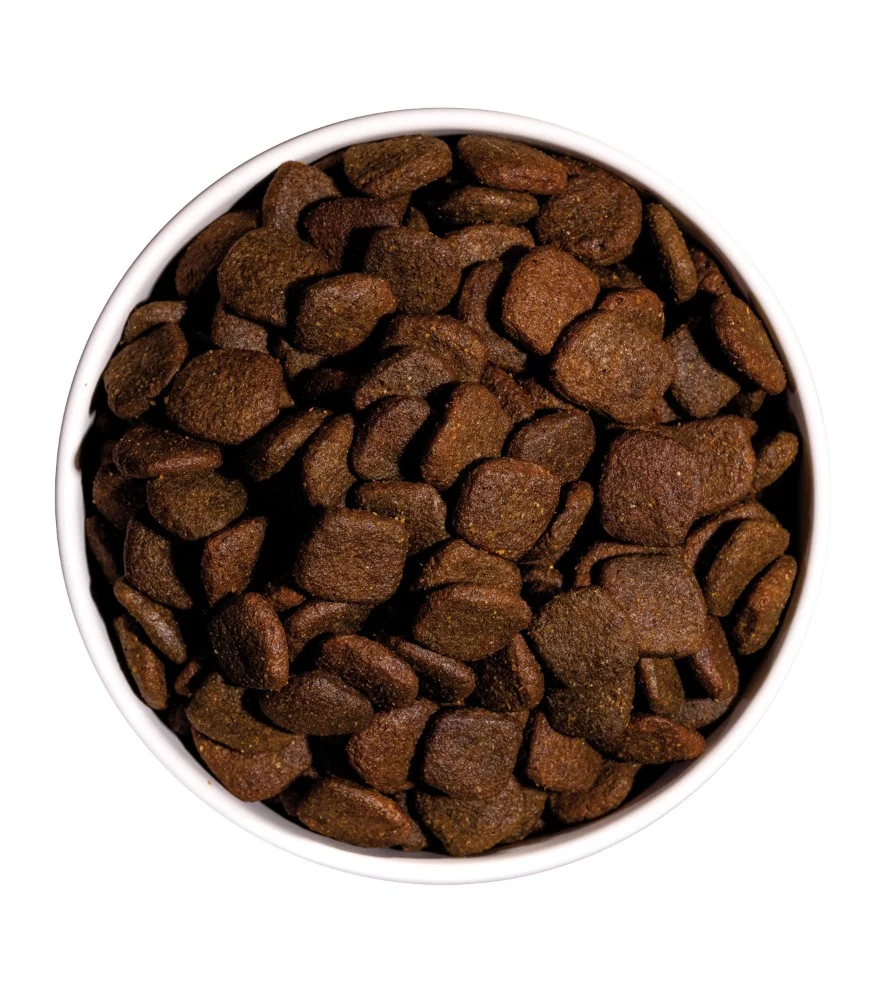 Dog Grain Free Hypoallergenic Salmão – Ownat - Image 2