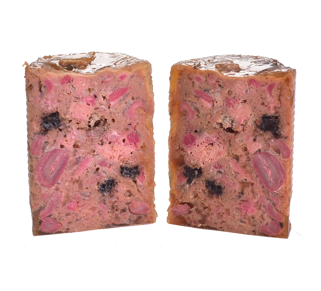 Dog Grain-Free Wet Salmão e Peru 400Gr – Carnilove - Image 2