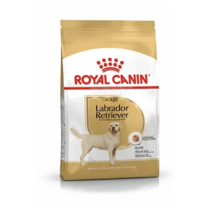 Dog Labrador Retriever Adult – Royal Canin