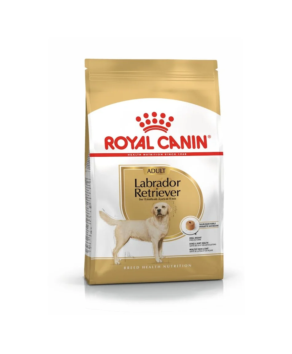 Dog Labrador Retriever Adult – Royal Canin