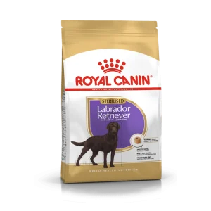 Dog Labrador Retriever Adult Sterilized 12Kg – Royal Canin