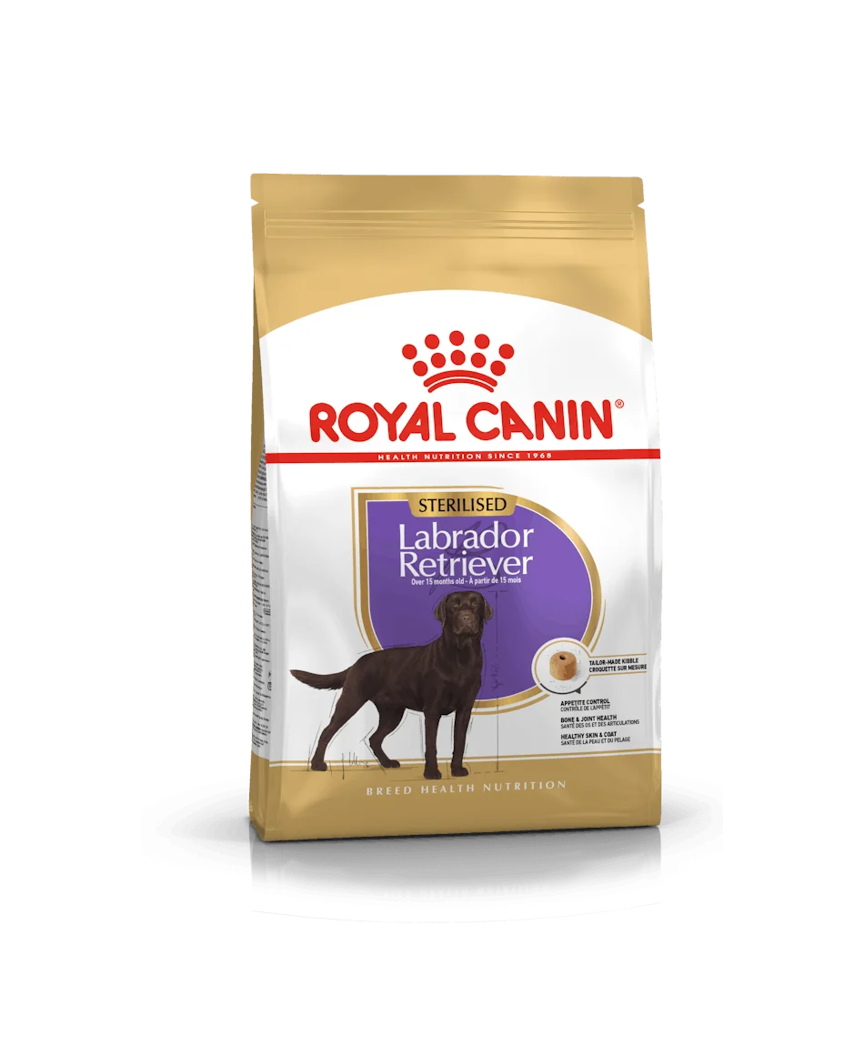 Dog Labrador Retriever Adult Sterilized 12Kg – Royal Canin