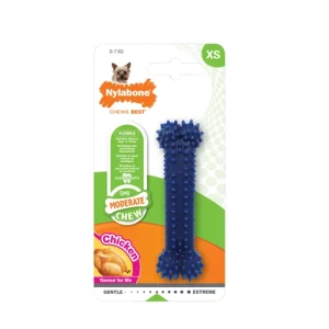 Dog Moderate Chew Dental XSmall – Nylabone