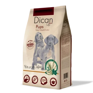 Dog Puppy Turkey & Chicken – Dican Up