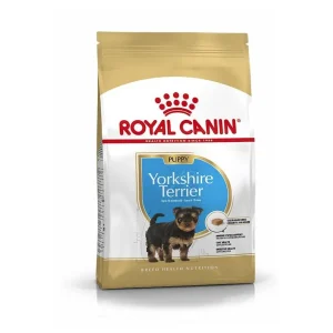 Dog Puppy Yorkshire Terrier – Royal Canin