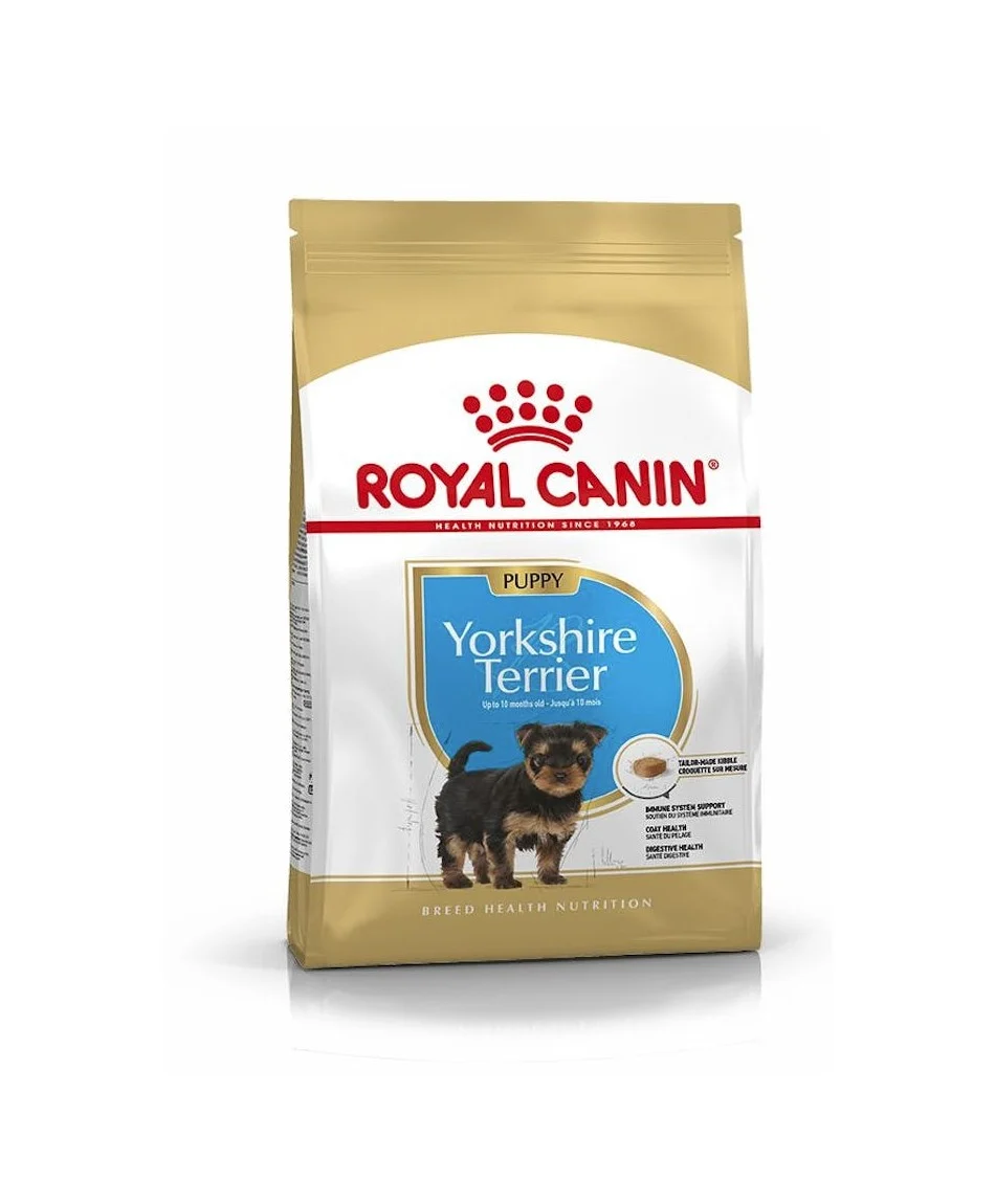Dog Puppy Yorkshire Terrier – Royal Canin