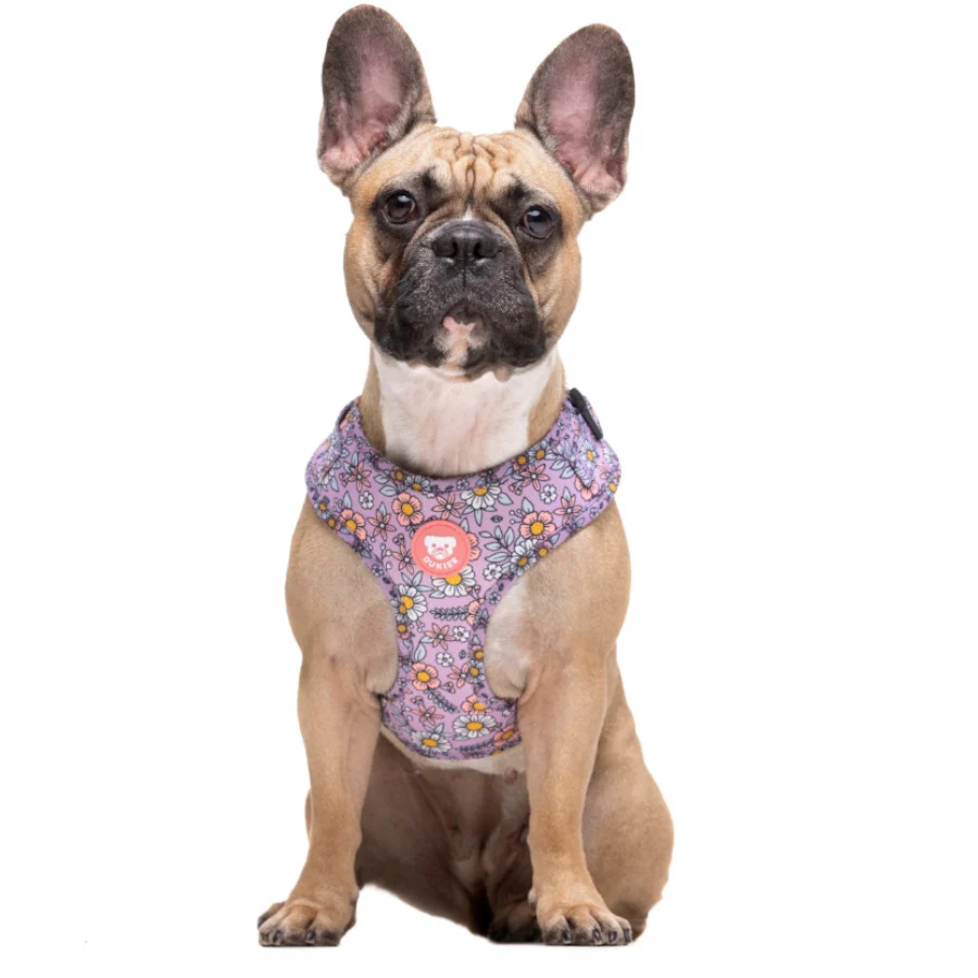 Dukier Flower Power Peitoral ajustável para cães - Image 2