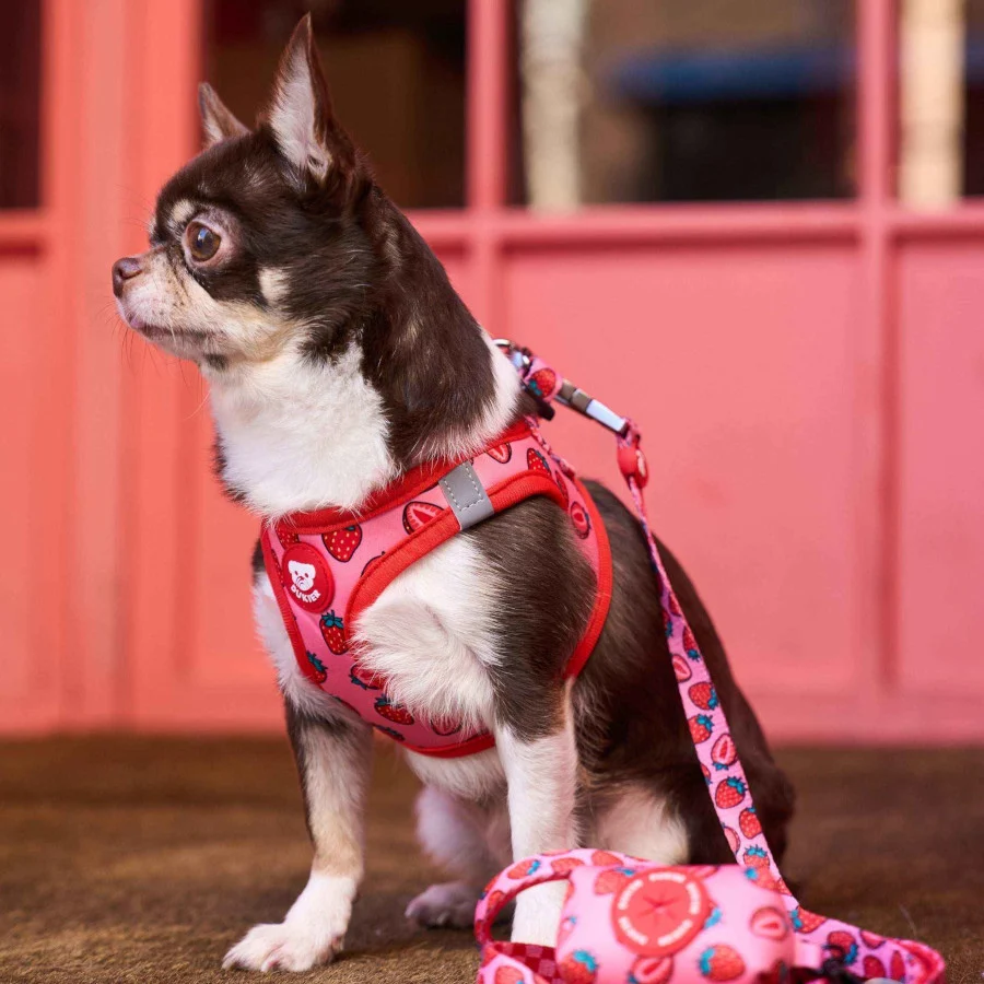 Dukier Trail Arnês body estampado Berry Love para cães - Image 2
