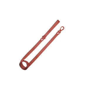 Dukier Trela Cor terracota para cães
