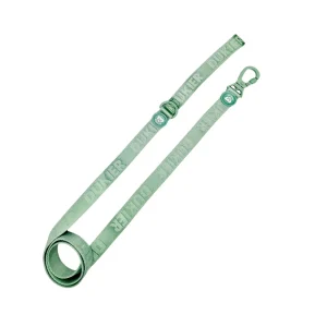 Dukier Trela Cor verde para cães