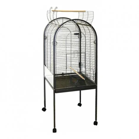 Duvo Plus Gaiola para papagaios pequenos – Medidas: 55 x 55 x 143 cm