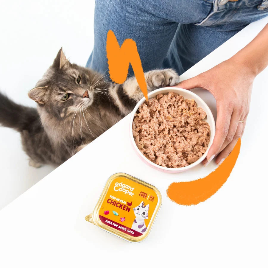 Edgard & Cooper Adult Frango em Patê terrina para gatos - Image 2