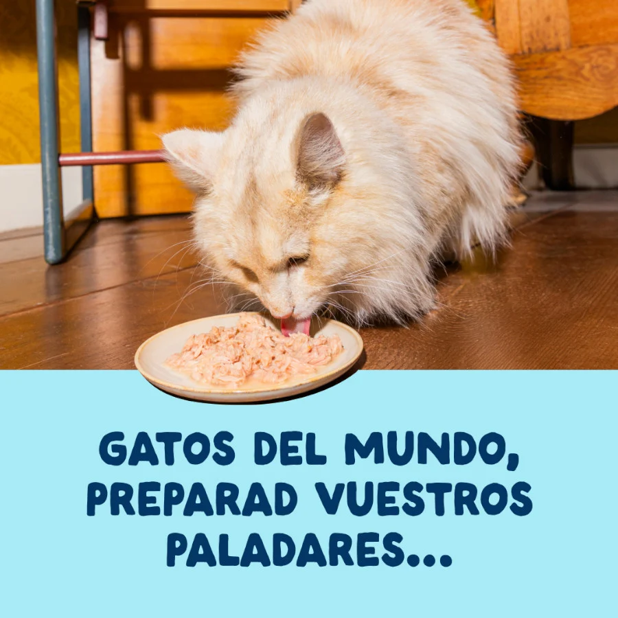 Edgard & Cooper Comida húmida Filetes de Atum e Lula em Caldo em lata para gatos - Image 2
