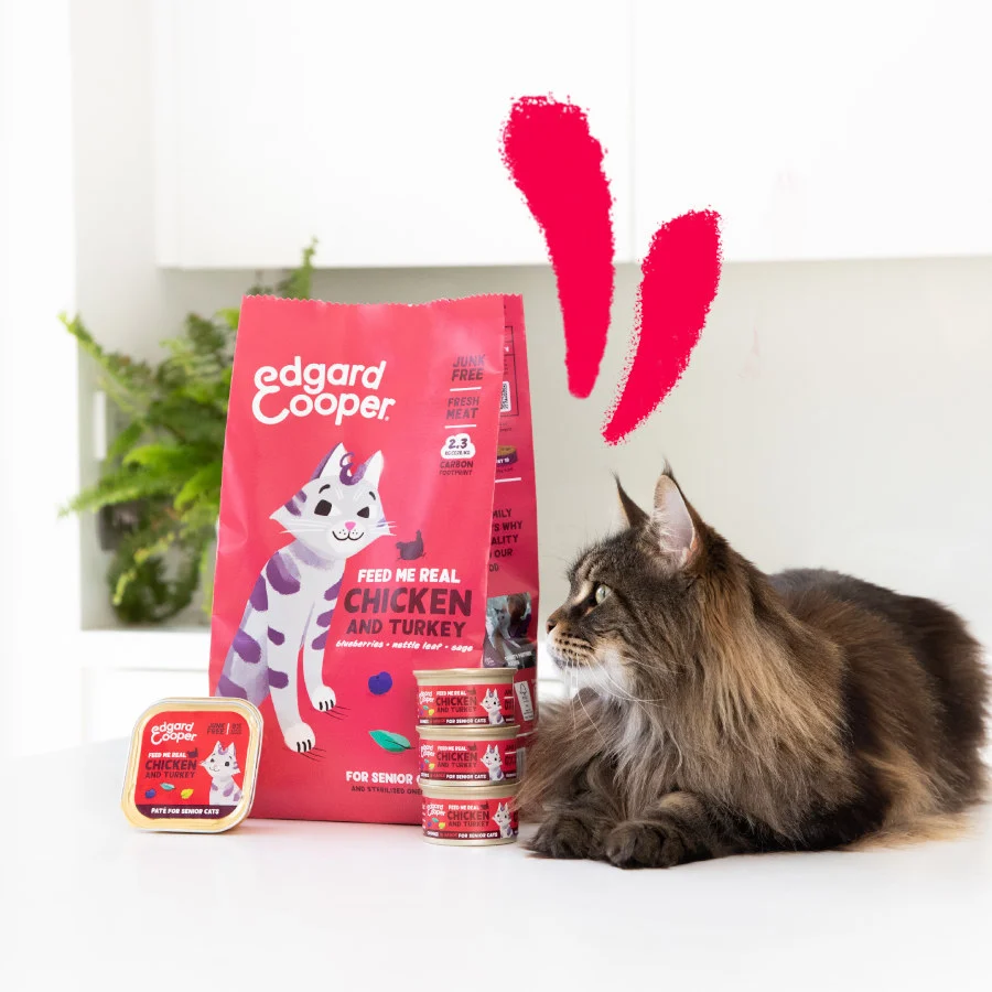Edgard & Cooper Frango e Peru em Patê terrina para gatos seniores - Image 2