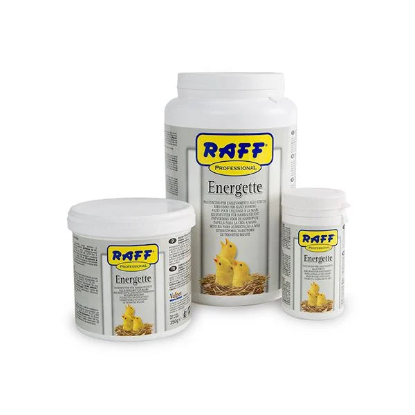 Energette – Raff - Image 2