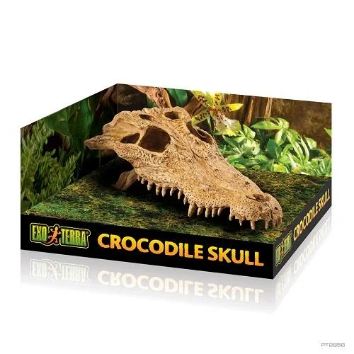 EXO TERRA CROCODILE SKULL - Image 2