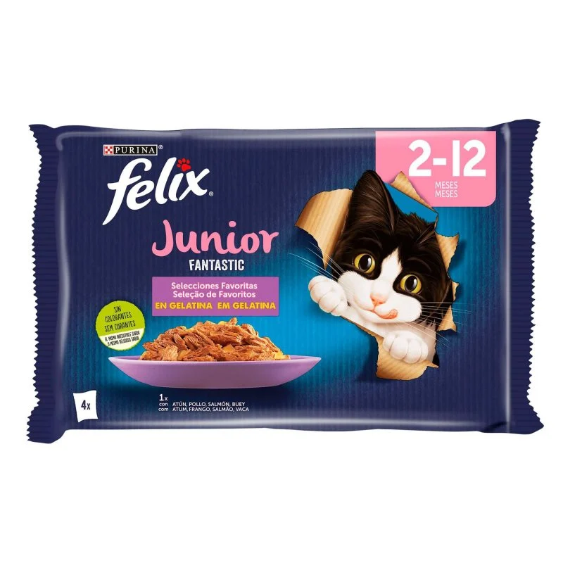Felix Fantastic Junior Seleção em Gelatina Gatinhos 4x85g