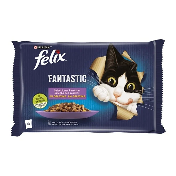 Felix Fantastic Seleção de Favoritos 4*85 g