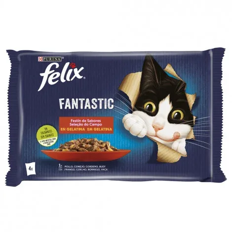 Felix Fantastic – Seleção do campo em gelatina – Quantidade: PACK 4 x 85 g