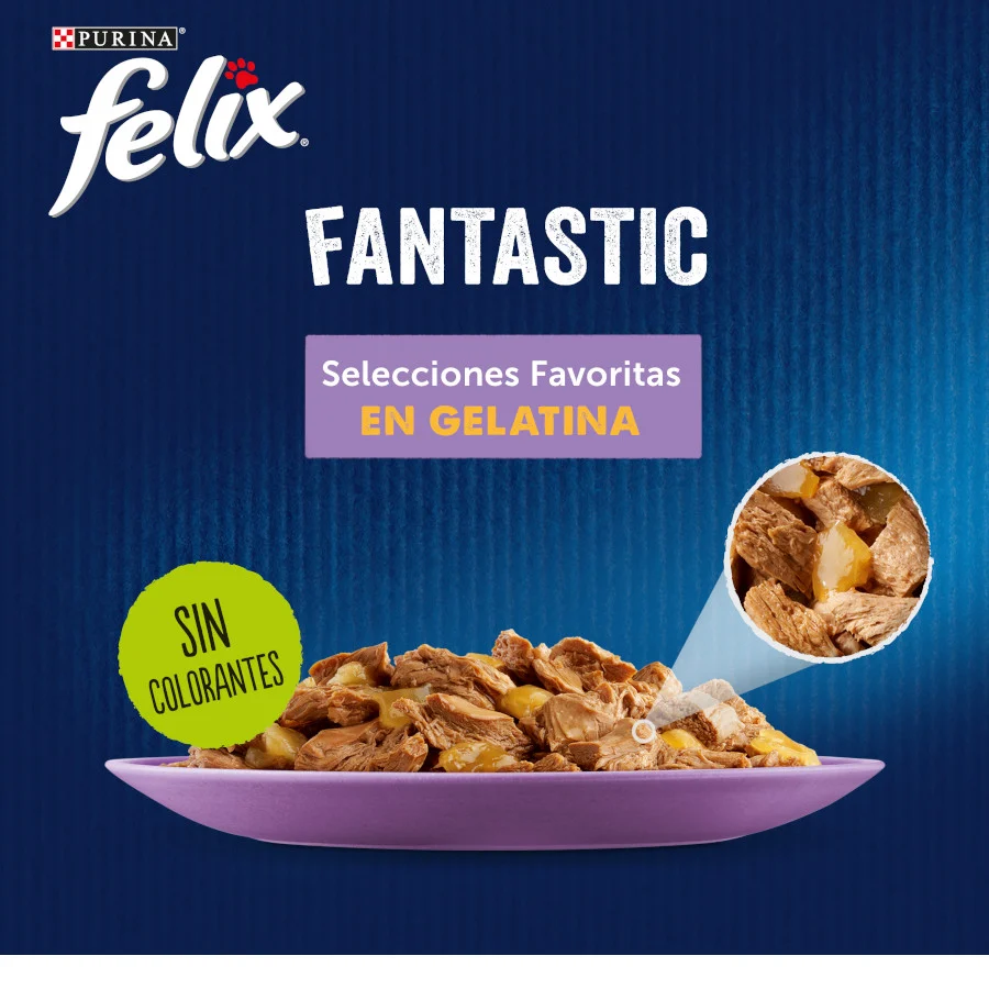 Felix Fantastic Seleções Favoritas saquetas em geleia - Image 2