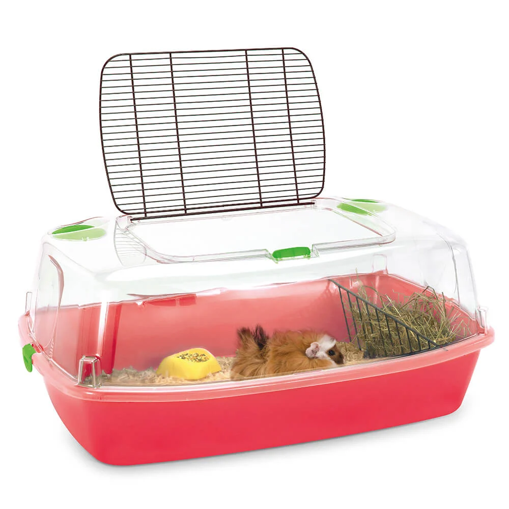GAIOLA “BINGO” - Image 2