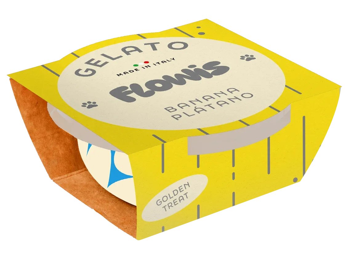 Gelado para c茫es Flowis - Banana
