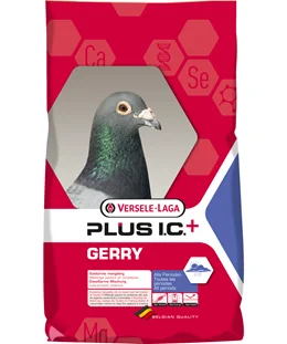 Gerry 20Kg – Plus I.C.+ - Image 2