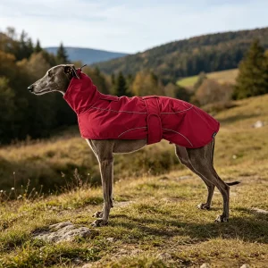 Gotoo Casaco Impermeável Vermelho para galgos