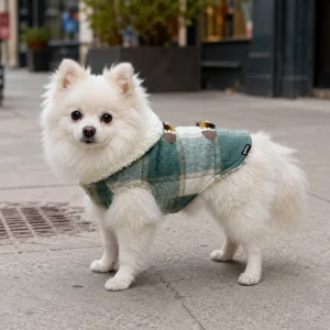 Gotoo Casaco Tartan com Capuz para cães