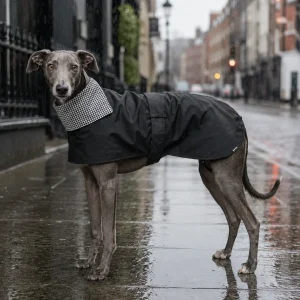 Gotoo Casaco Tipo Gabardina para galgos