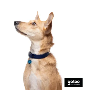 Gotoo Coleira vegan azul para gatos