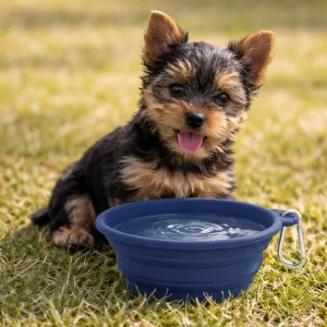 Gotoo Comedouro Dobrável e Portátil em Silicone Azul para cães e gatos