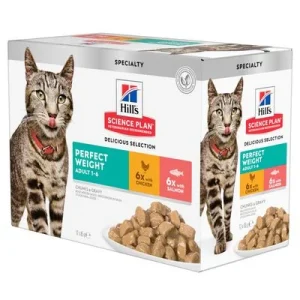 Hill's Adult Perfect Weight para gatos